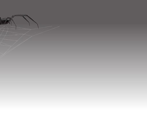 The Spider: No one who believes in God will escape being tried