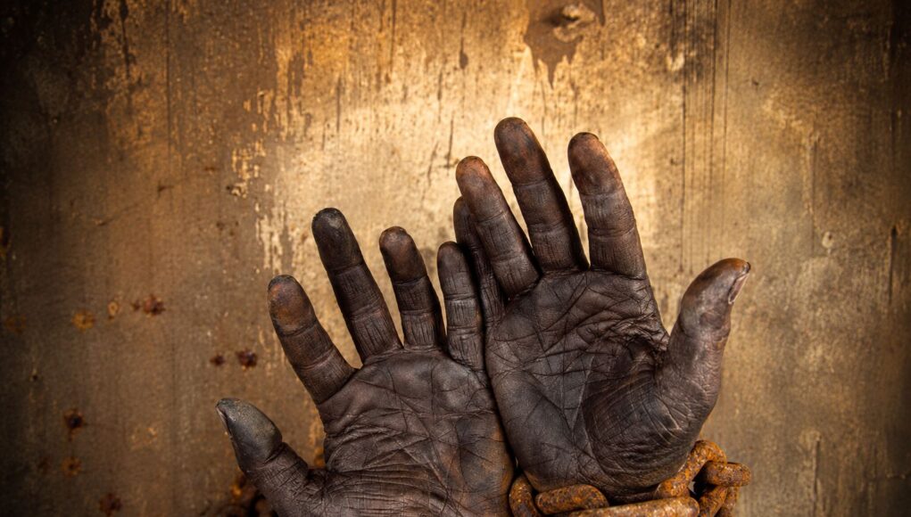 This Controversy: The True History of Slavery in the Americas