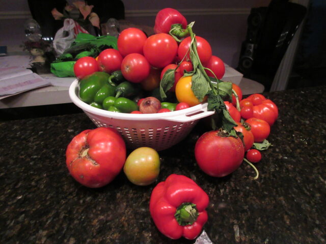 Benefits of Vegetable Gardening