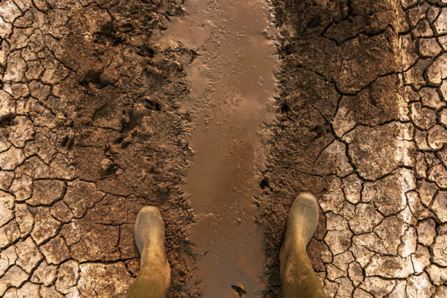 With Just One Percent of Farms Controlling 70 Percent of Global Farmland, Study Reveals ‘Shocking’ Level of Land Inequality