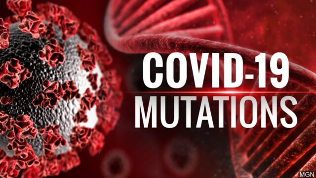 Mutant strains, experimental vaccines, widespread deaths and growing insecurity aren’t going away in the New Year