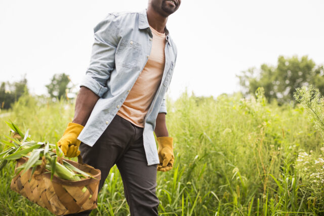 Will proposed federal bill correct wrongs done to Black farmers?