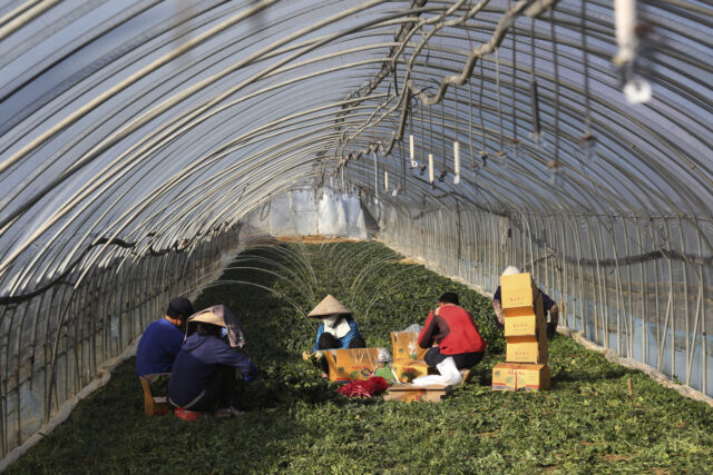 Migrant workers face dire conditions at South Korean farms
