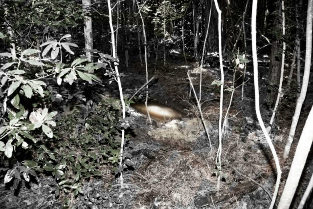 U.S. military explosives vanish, emerge in civilian world