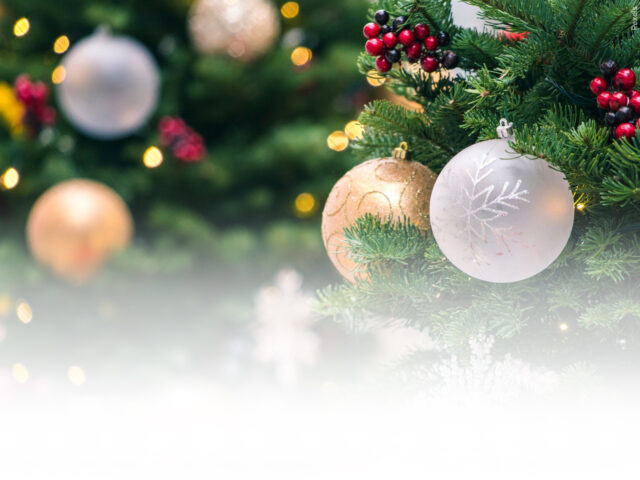 Why We are Calling You to Boycott Christmas