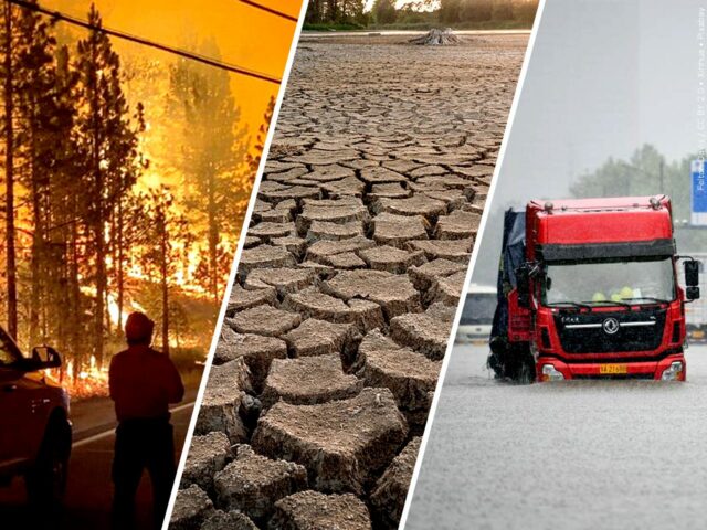 World’s top 2021 climate disasters cost nearly $200 billion: Study