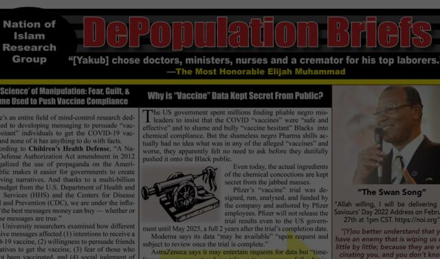 DePopulation Briefs – FCN4121