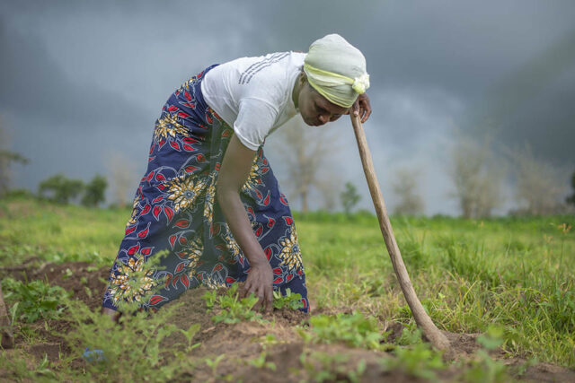 UN chief: Food insecurity threatens societies, exacerbates conflicts, ‘no country is immune’