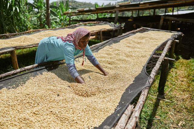 Farming, producing fertilizer, self-reliance should be the continent’s focus today