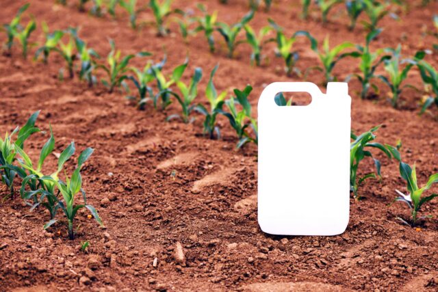Court finds France negligent in Caribbean pesticide case