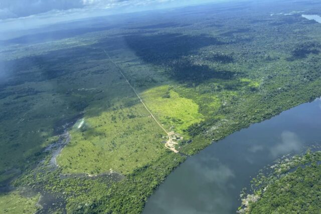 Crucial illegal road threatens Amazon rainforest