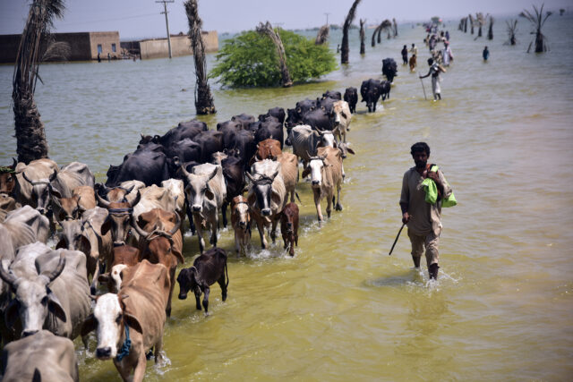 Infectious diseases kill 324 in flood-ravaged Pakistan, alarm bells ringing