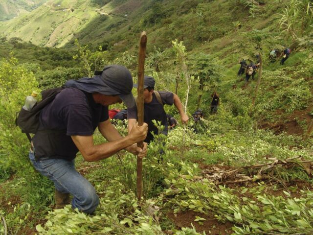 Report: 200 environmental activists killed globally in 2021