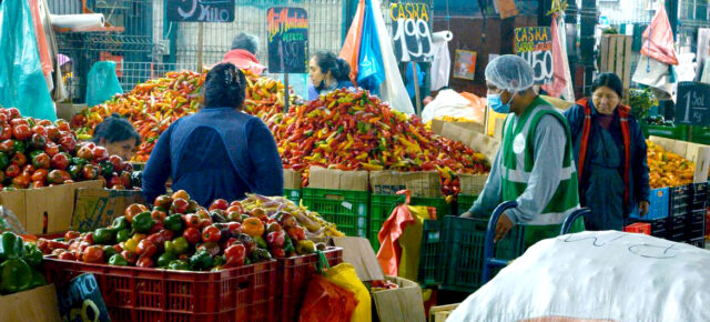 Peru’s food crisis grows amid soaring prices and poverty: FAO