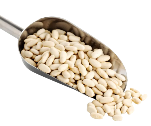 Navy Beans Contain Key Fats That Protect and Heal the Body