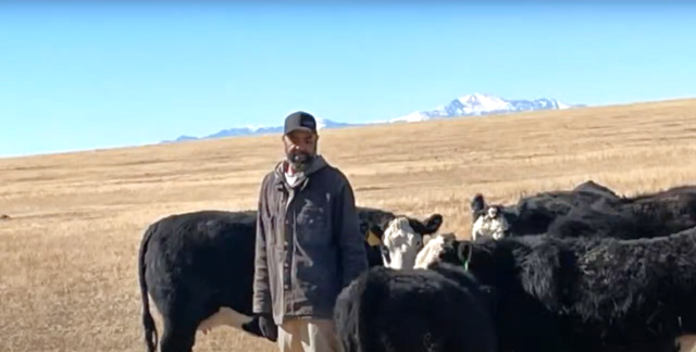 ‘We have been targeted’ Black ranchers in Colorado out on bond after being terrorized by White neighbors