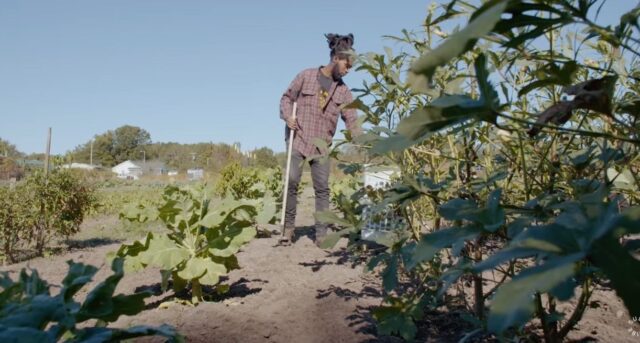 Satan pushes food manufacturing without farmers