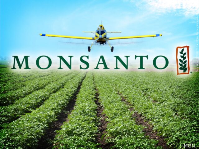 Peril on Your Plate: Effects of GE and Chemical Agriculture