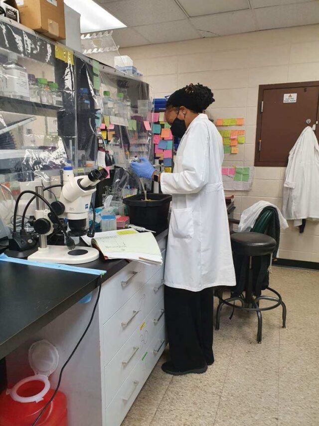 A beautiful rarity: Black Muslim woman earns Ph.D. in biomedical science