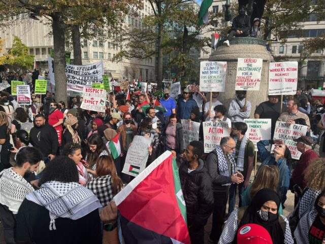 Thousands convene in Washington demanding ceasefire to Gaza carnage