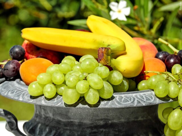 The Law of Use and The Law of Abuse, and How Foods Affect Thoughts, Part. 3