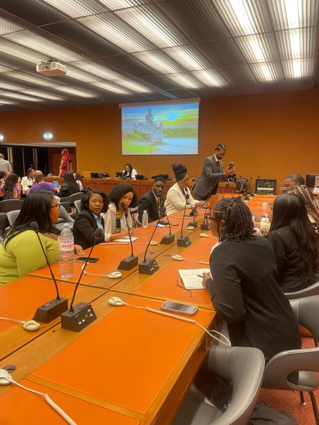Two M.G.T. Vanguard attend UN Permanent Forum on People of African Descent