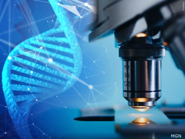 The dangers and risks of GMOs (Genetically Modified Organisms)