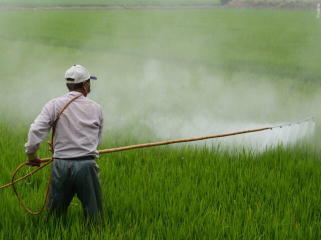 The dangers and risks of GMOs (Genetically Modified Organisms) Part II