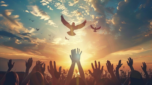 The consequences of war and the Fruit of Peace