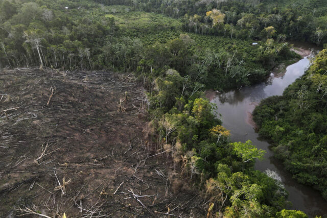 Amazon Indigenous community wins latest stage of court battle for lost territory