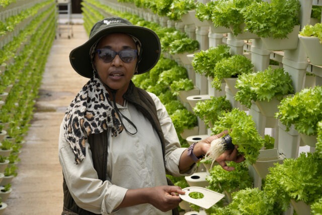 Farming project in South Africa is helping deaf people build skills, find jobs