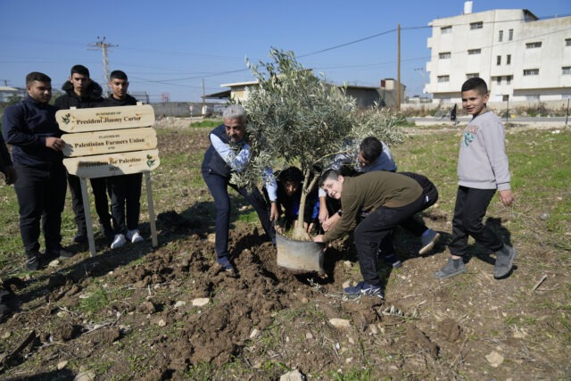Palestinians dedicate a new West Bank olive grove to Jimmy Carter