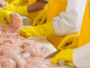 The Law of Use and The Law of Abuse, and How Foods Affect Thoughts, Part. 4