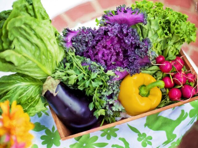 The Law of Use and The Law of Abuse, and How Foods Affect Thoughts, Part. 3