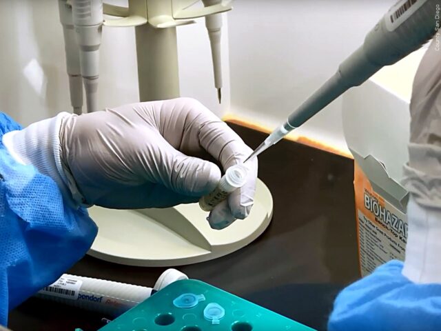 DNA contamination in Pfizer COVID vaccines up to four times legal limits, study finds