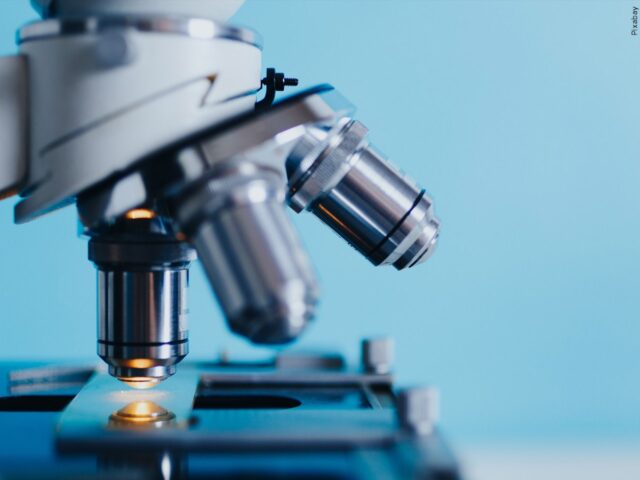 Nearly half of ‘COVID deaths’ not caused by the virus, researchers find