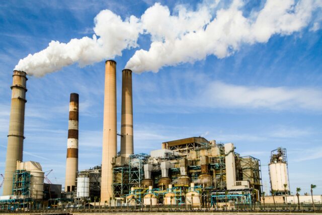 From plastics to pesticides: Chemicals may promote stress that leads to obesity