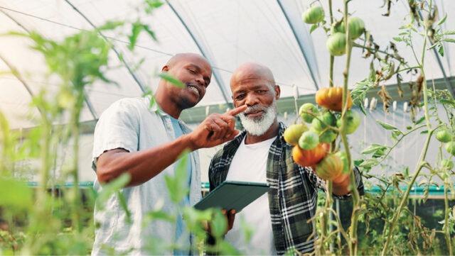 Black people explore self-sufficiency amid government cutbacks