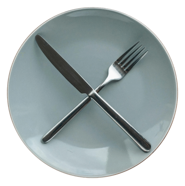 THE WAR AGAINST OBESITY (FAT), Part 2 Conclusion