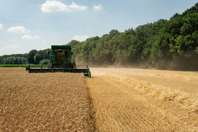 Why We Must Produce Food and Control Our Food Sources