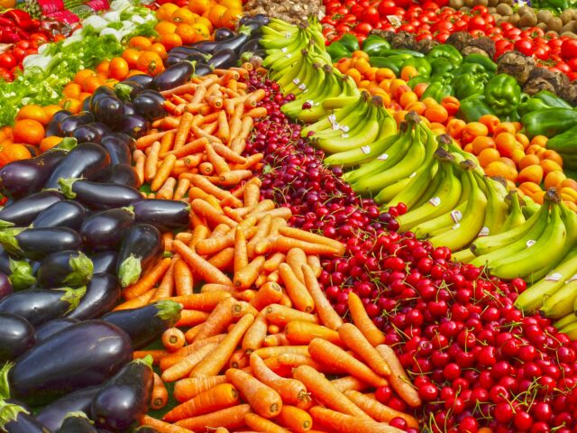 THE WAR AGAINST OBESITY (FAT), Part 4