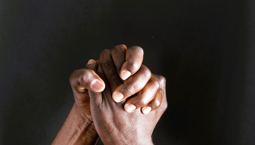 We Must First Be Brothers by the Honorable Minister Louis Farrakhan