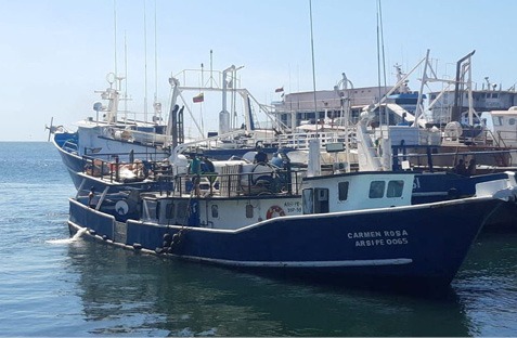 Several boats in a harbor AI-generated content may be incorrect.