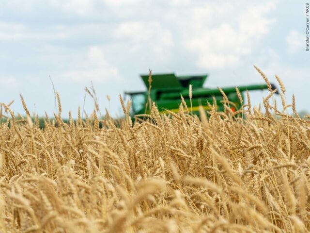 The Science of Food: Learn proper ways to reap the benefits of what we eat