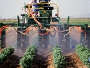 EPA failed to warn public of pesticide cancer risks even when agency found high risk