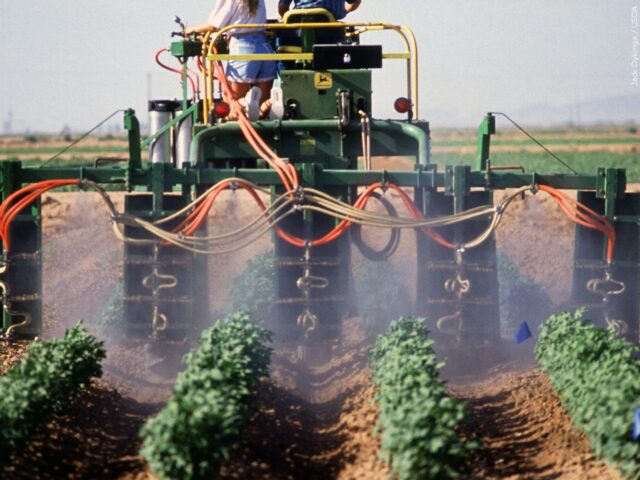 EPA failed to warn public of pesticide cancer risks even when agency found high risk