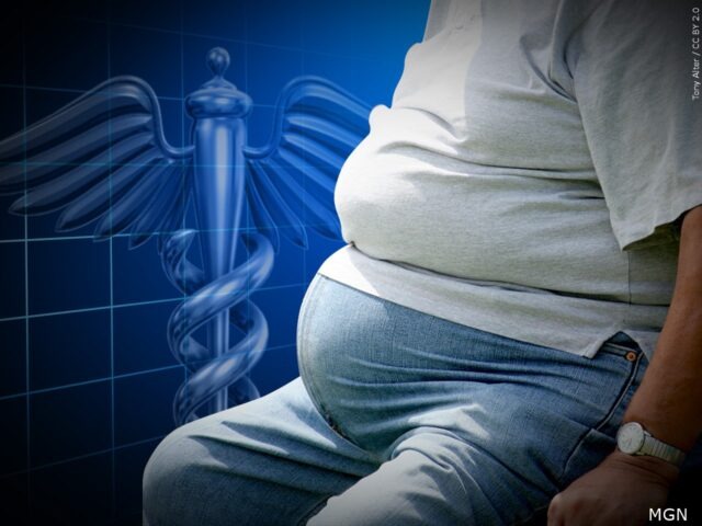 The Honorable Minister Farrakhan Calls on the Entire Black Nation to: DECLARE WAR ON OBESITY (FAT)!