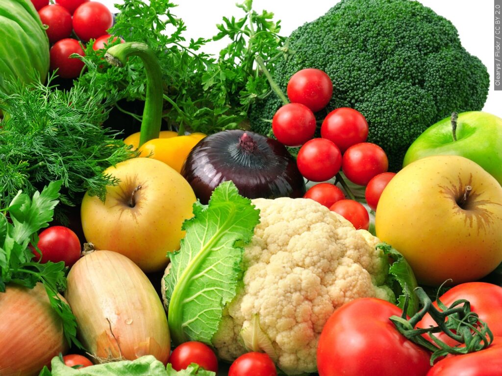 THE WAR AGAINST OBESITY (FAT), Part 3