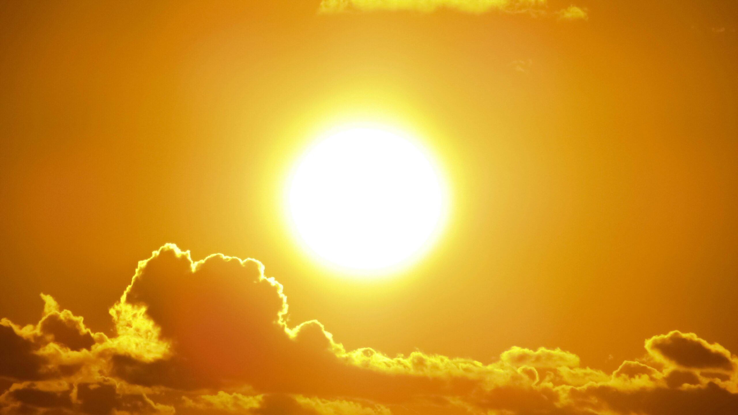 Eastern U.S. sweats through another hot day  before rain, cold move in