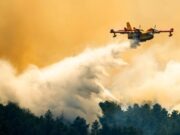 Busy wildfire season tests U.S. fire bosses as they juggle resources to stay ahead
